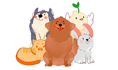 Taily Pet Community Preview